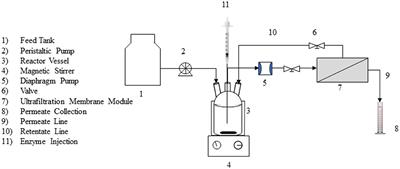 Detoxification and decolorization of complex textile effluent in an enzyme membrane reactor: batch and continuous studies